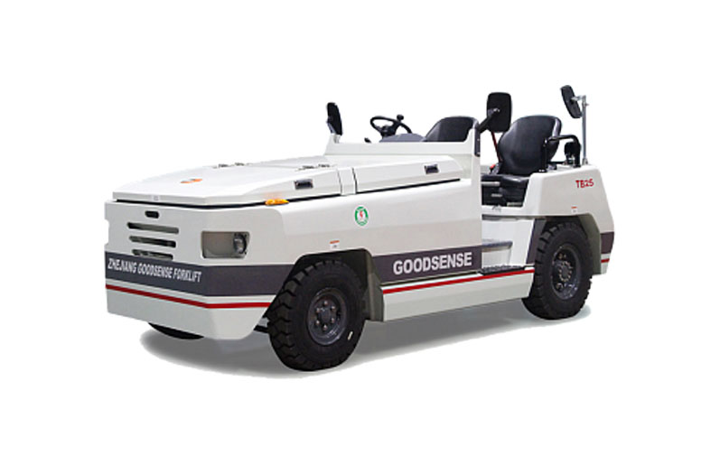 Goodsense TB25R
